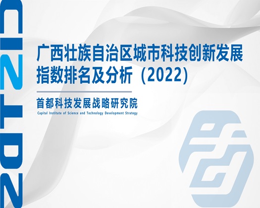 艹逼视频网站免费看【成果发布】广西壮族自治区城市科技创新发展指数排名及分析（2022）